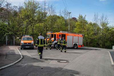 Stuttgart: Hund aus Fuchsbau befreit
